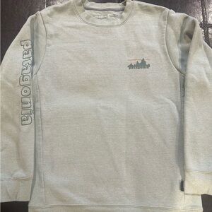 Patagonia Skyline Uprisal Fleece Crew Neck Sage Green Small